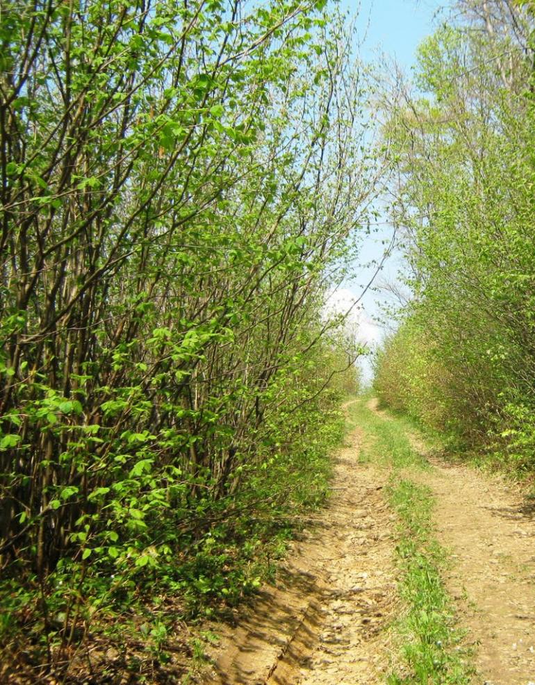 Добромиль з panoramio.com - Добромиль