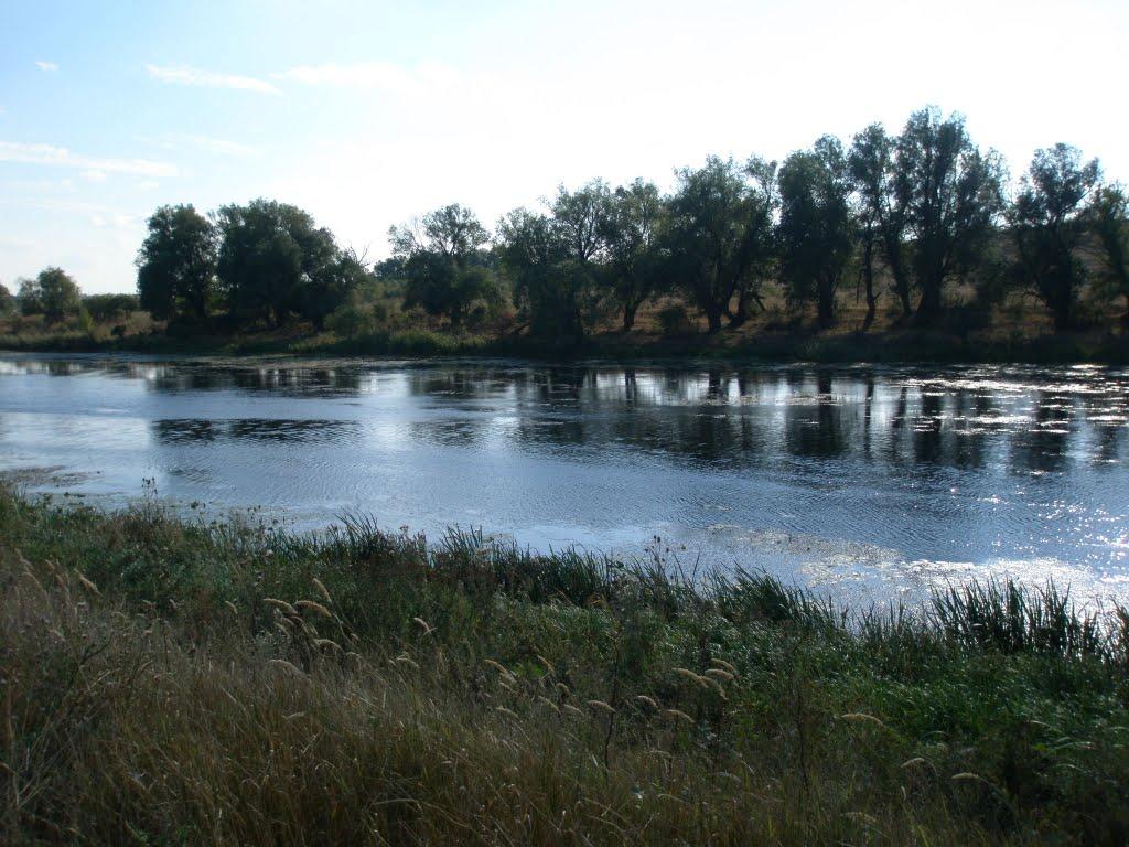 Синюхин Брід з panoramio.com - Синюхин Брод