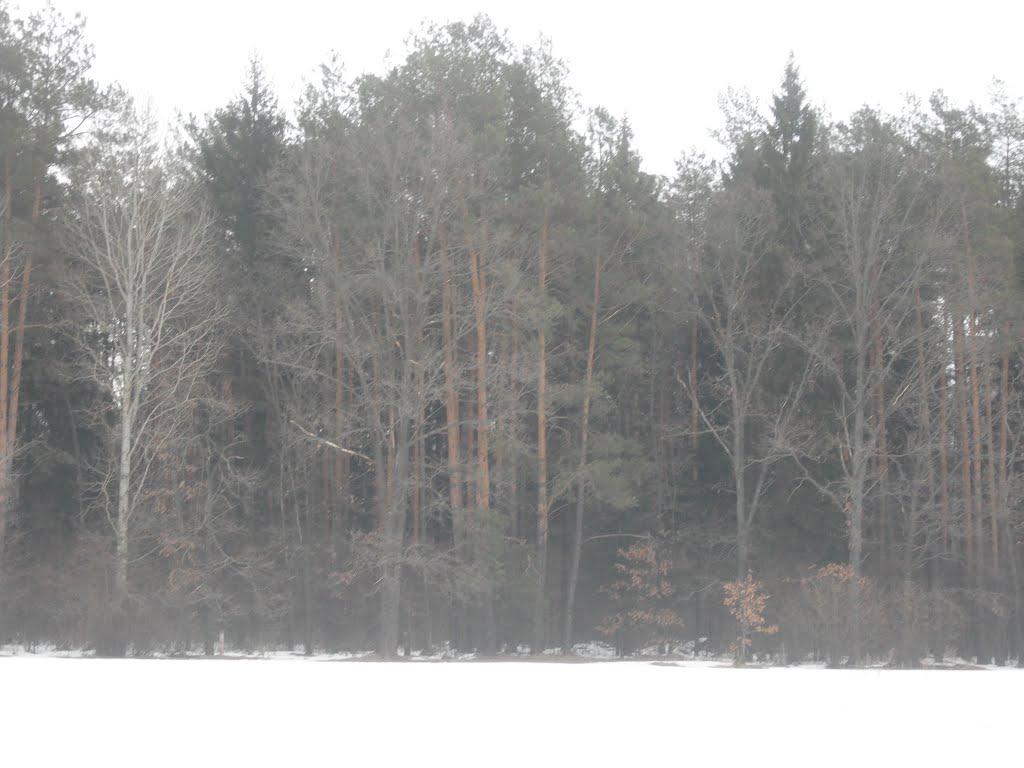 Жукля з panoramio.com - Жукля