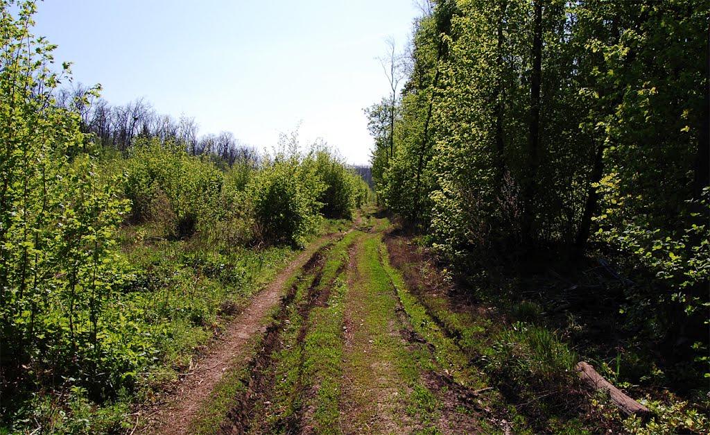 Хотімля з panoramio.com - Хотимля