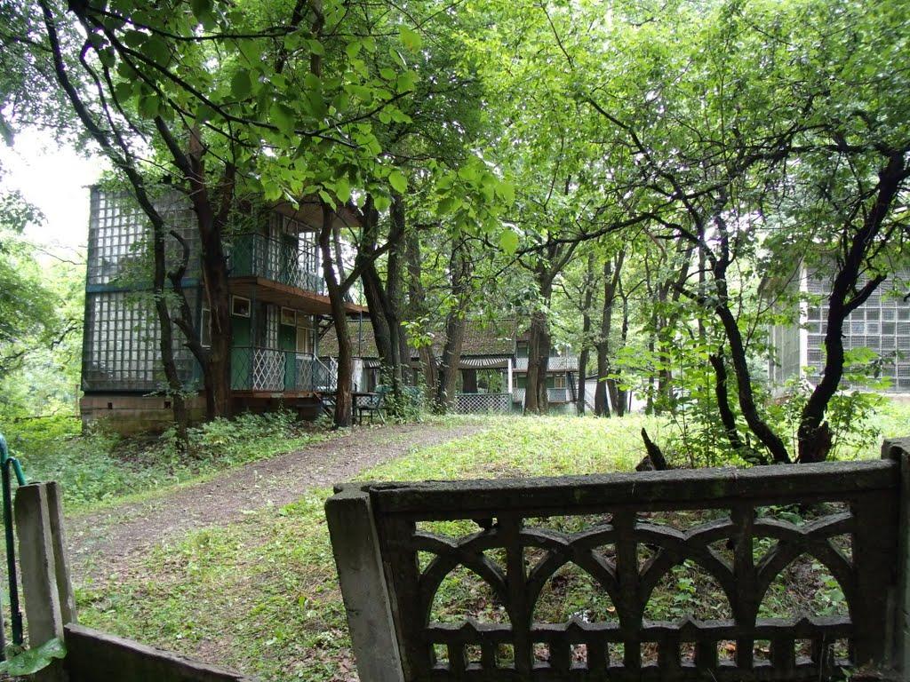 Старий Караван з panoramio.com - Старий Караван