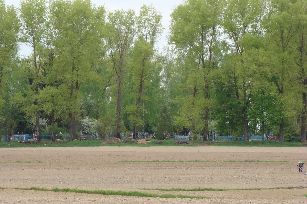 Андріївка з panoramio.com - Андріївка