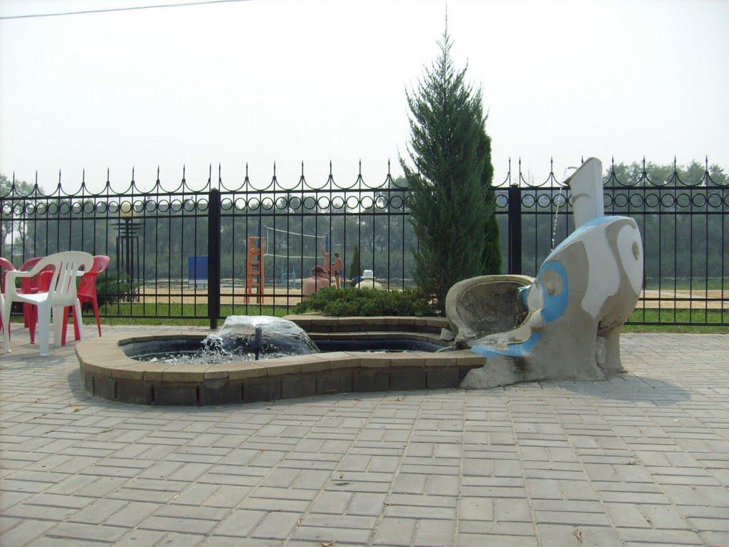 Плетенівка з panoramio.com - Pletenivka
