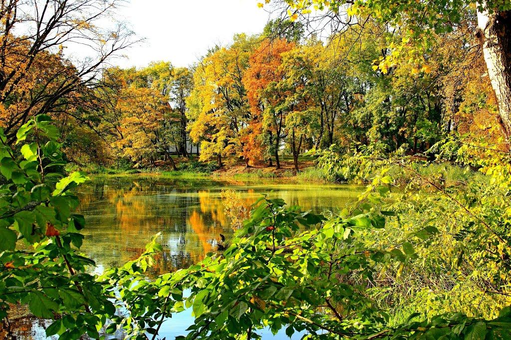 Биків з panoramio.com - Биків