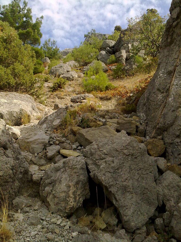 Долина з panoramio.com - Долина