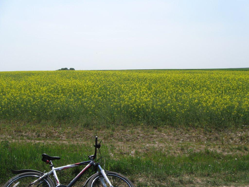 Моташівка з panoramio.com - Моташівка