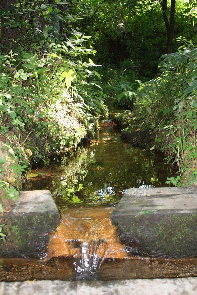 Тарасенки з panoramio.com - Тарасенки