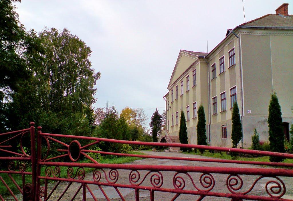 Рогачин з panoramio.com - Rogachyn