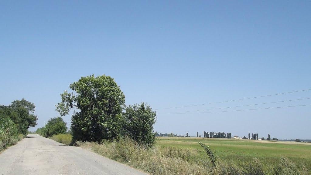 Березолуки з panoramio.com - Березолуки