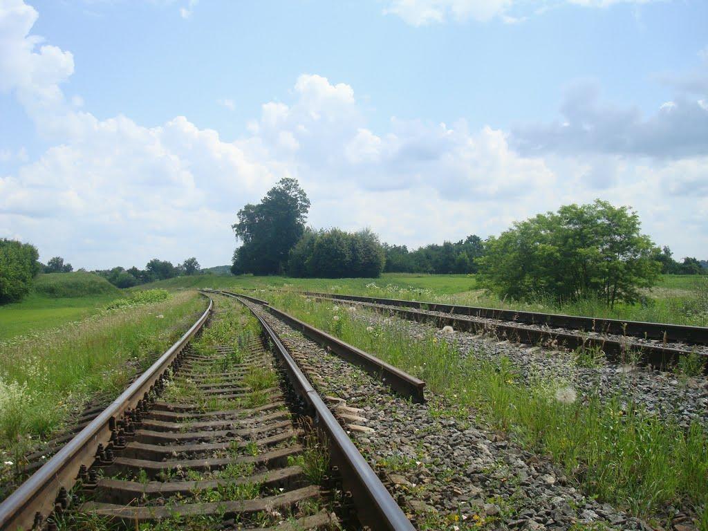 Шепетівка з panoramio.com (ч.2) - Шепетовка