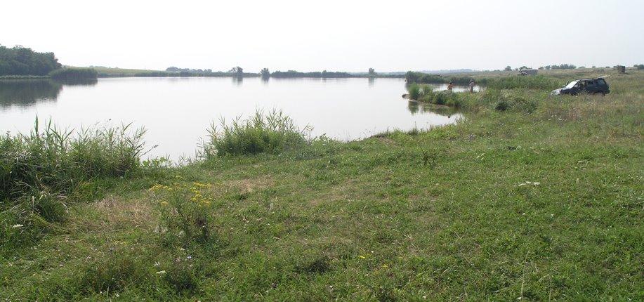 Тополине з panoramio.com - Тополиное