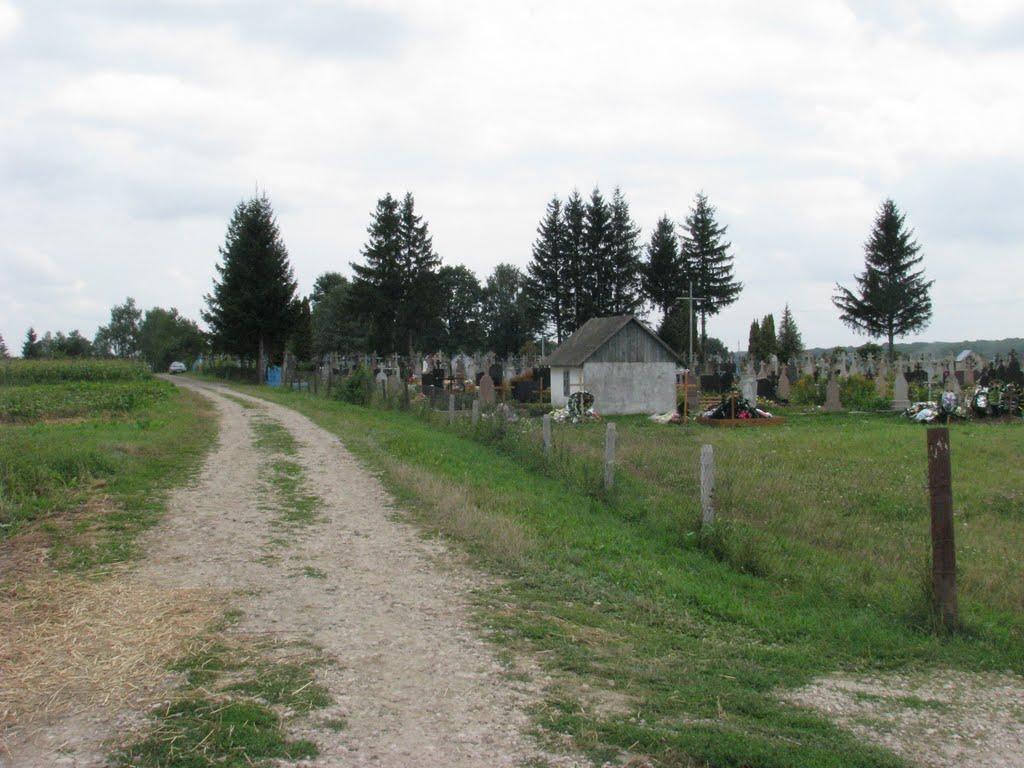 Оришківці з panoramio.com - Оришковцы