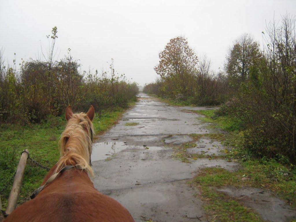 Крилів з panoramio.com - Крилів