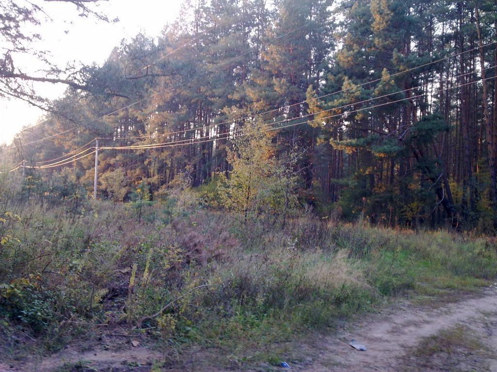 Яцьківка з panoramio.com - Яцьківка