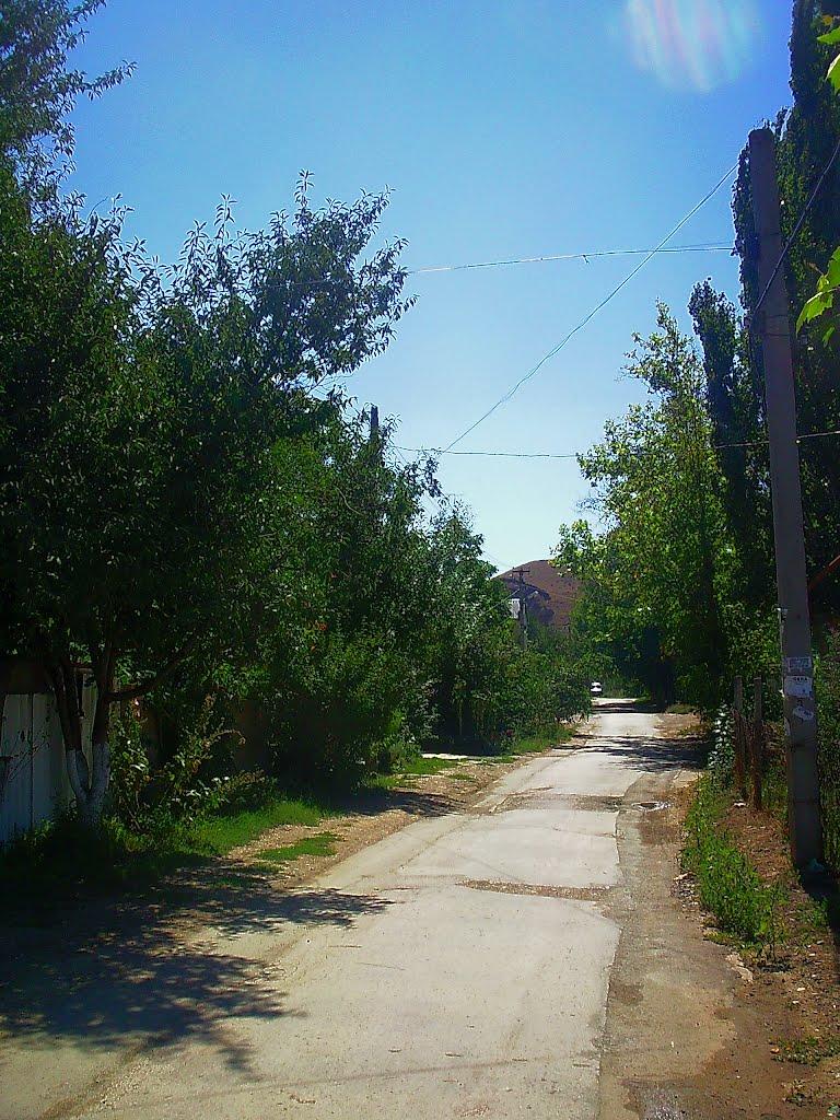 Піщане з panoramio.com - Песчаное