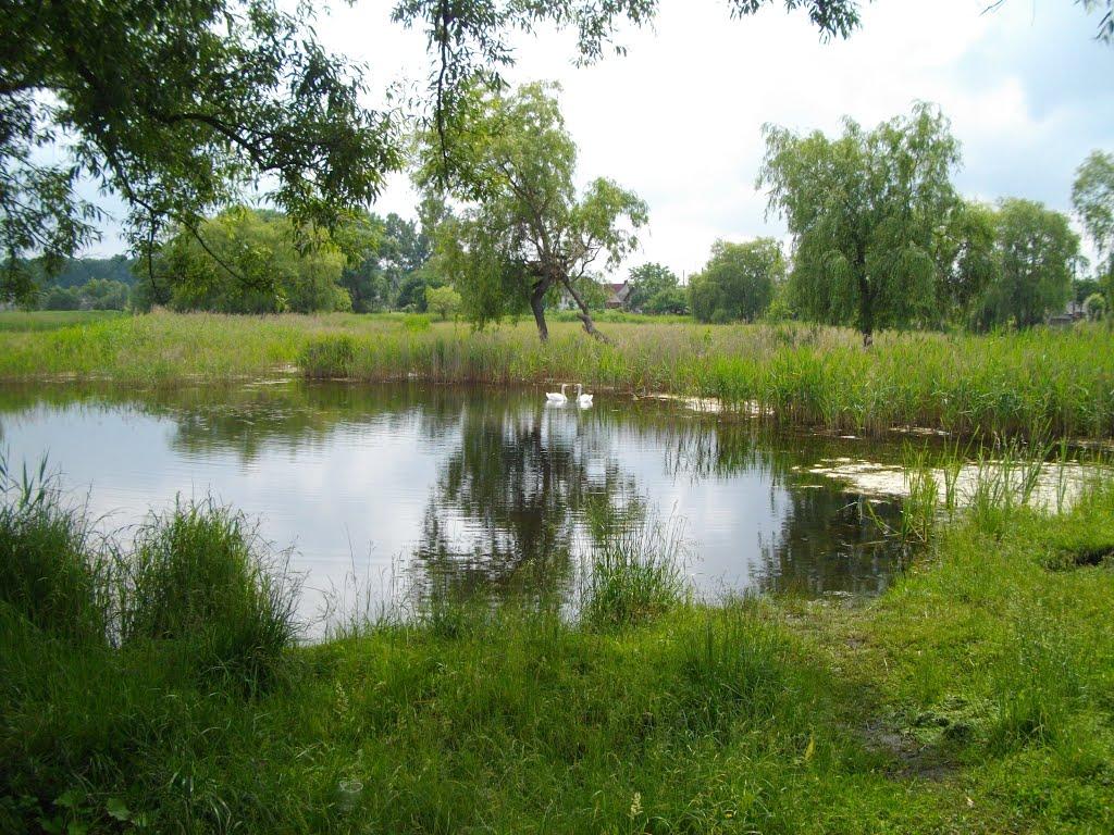 Ківерці з panoramio.com - Киверцы