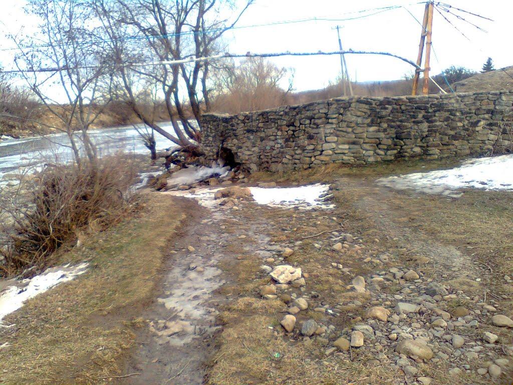 Пшеничники з panoramio.com - Пшеничники