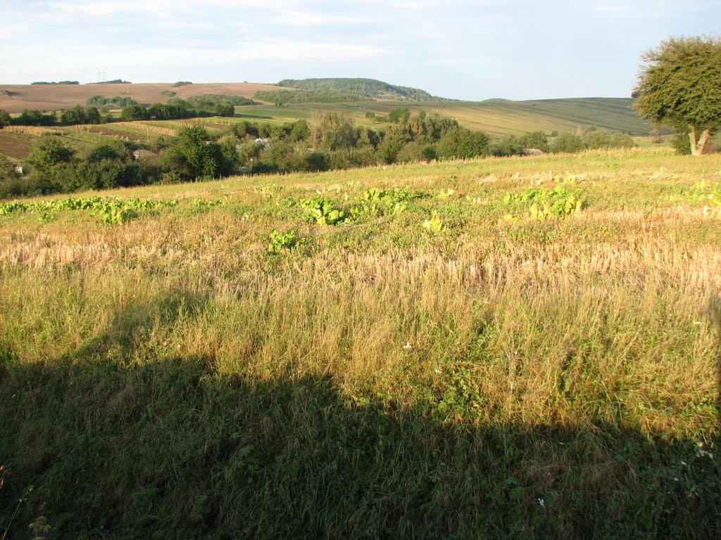 Обельниця з panoramio.com - Obelnytsya