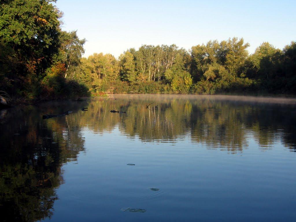 Кияшки з panoramio.com - Кияшки