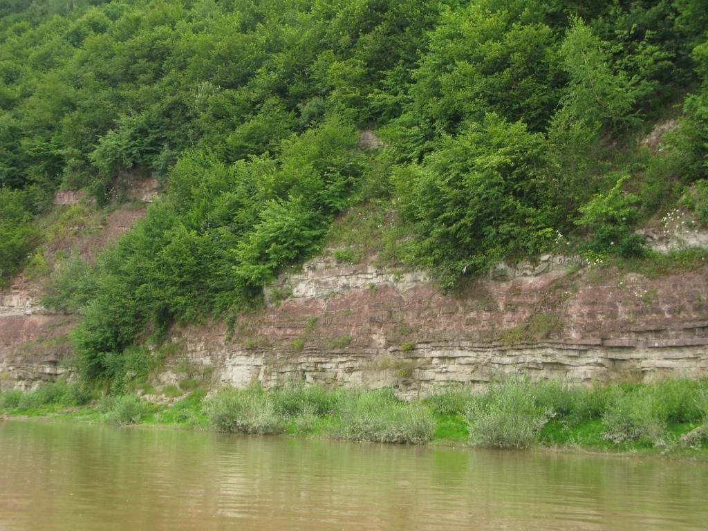 Долина з panoramio.com - Долина