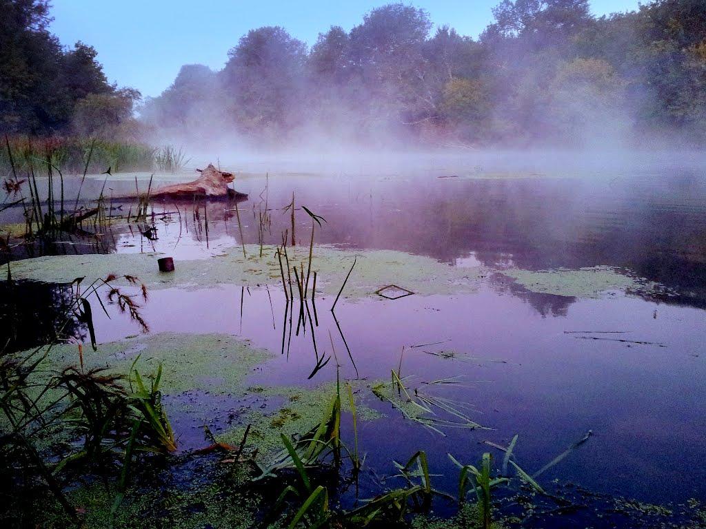Серебрянка з panoramio.com - Серебрянка