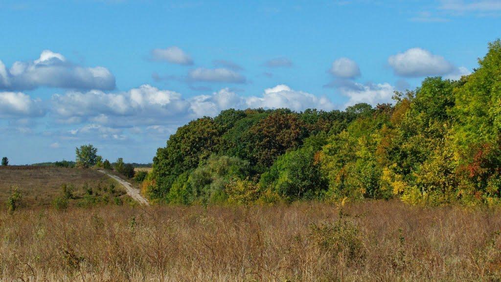 Печеніги з panoramio.com - Pechenigy