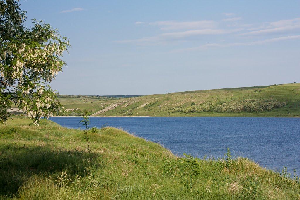 Гринчук з panoramio.com - Гринчук