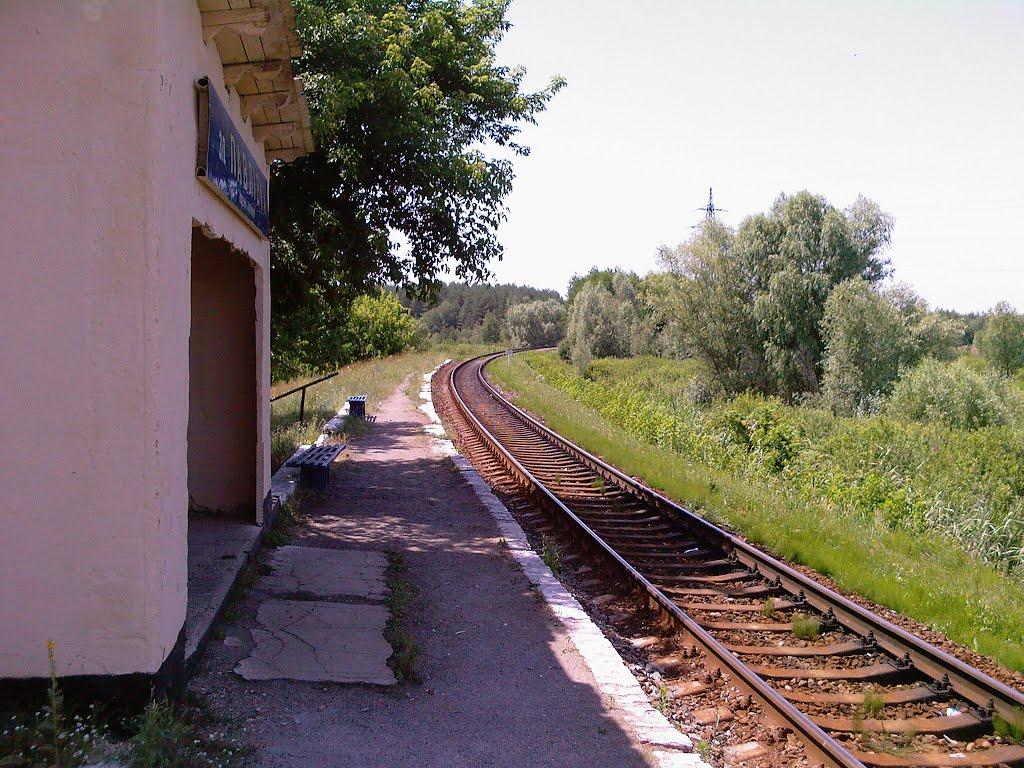 Павлівка з panoramio.com - Павловка