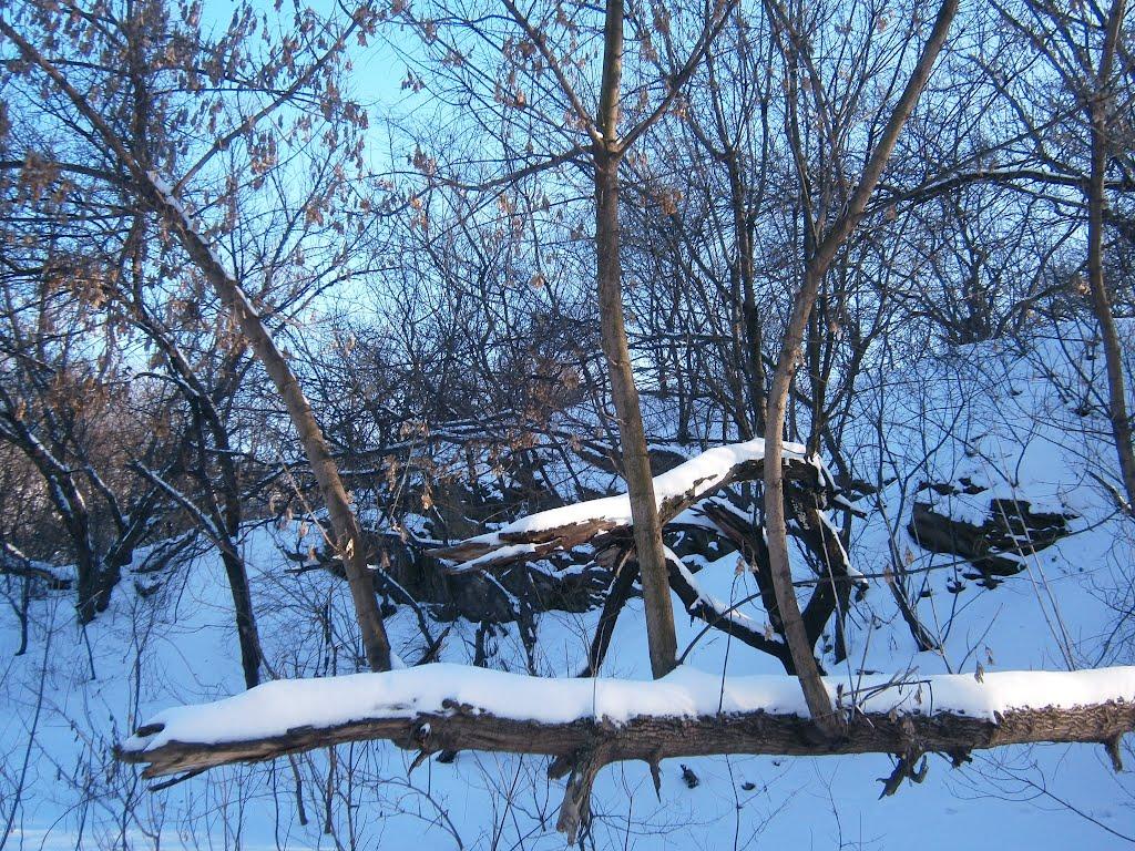 Алчевськ з panoramio.com (ч.2) - Алчевск