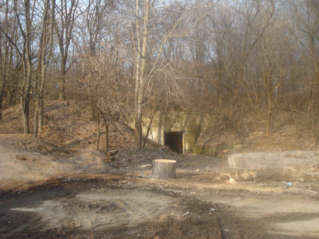 Циганівці з panoramio.com - Циганівці