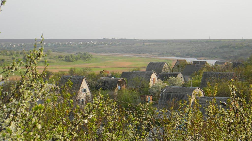 Пересадівка з panoramio.com - Пересадівка