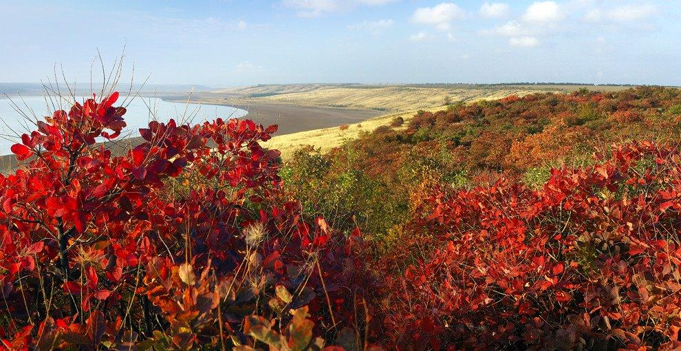 Кубанка з panoramio.com - Кубанка