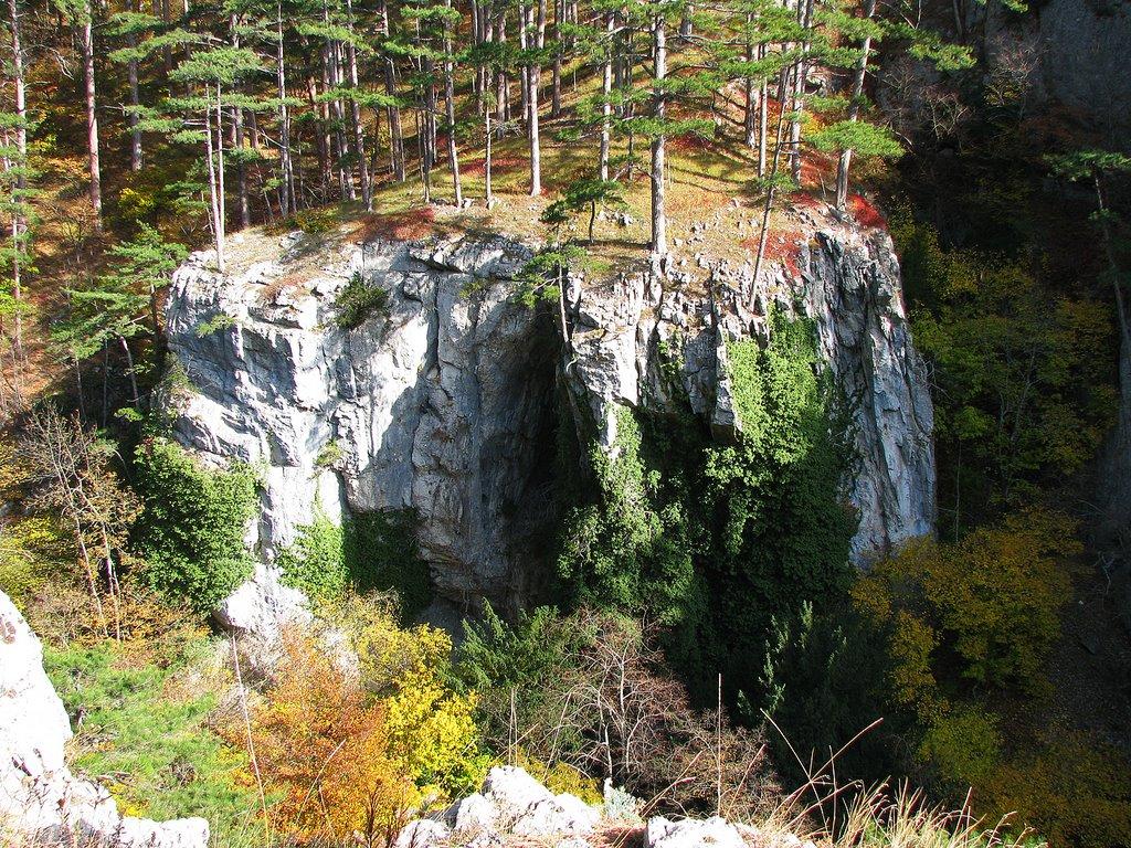 Совєтське з panoramio.com (ч.2) - Советское