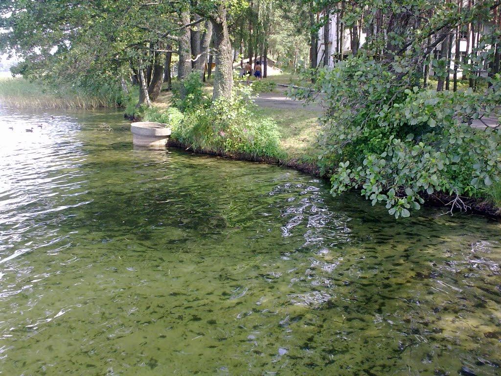 Мельники з panoramio.com - Мельники