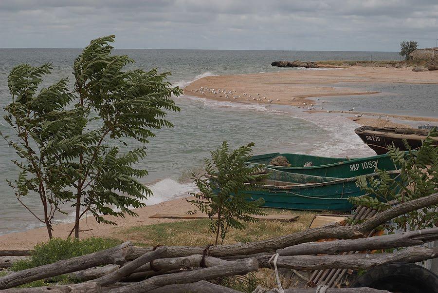 Нововідрадне з panoramio.com - Новоотрадное