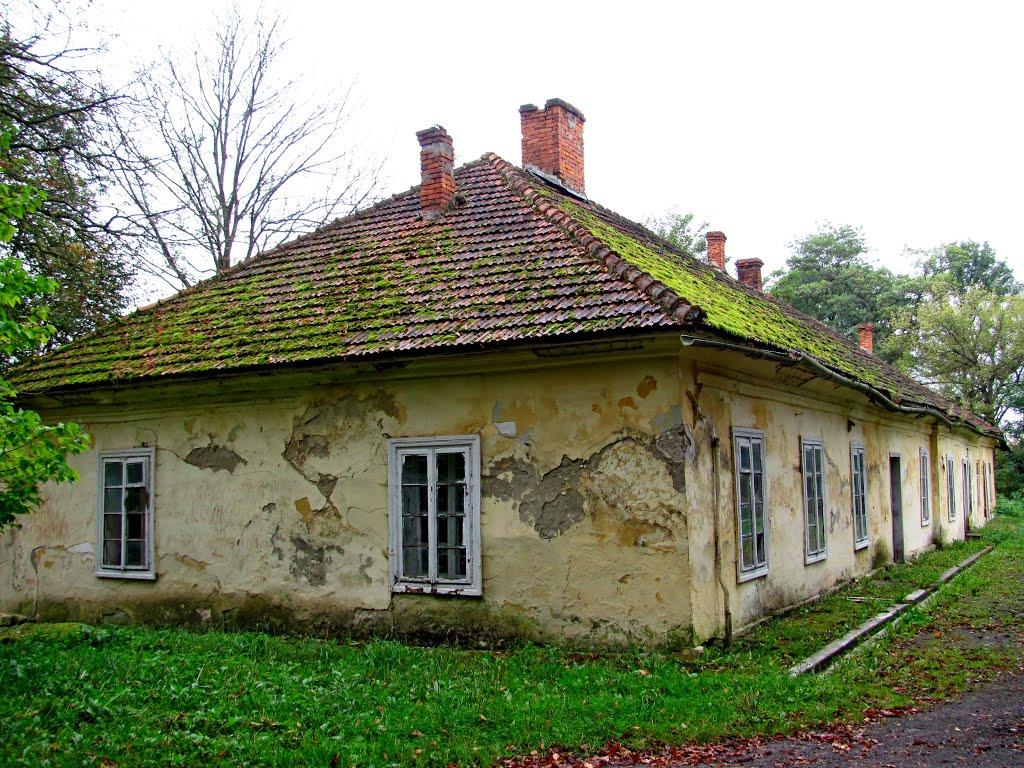 Вишня з panoramio.com - Вишня