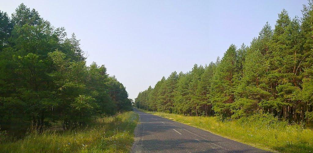Приліпка з panoramio.com - Приліпка