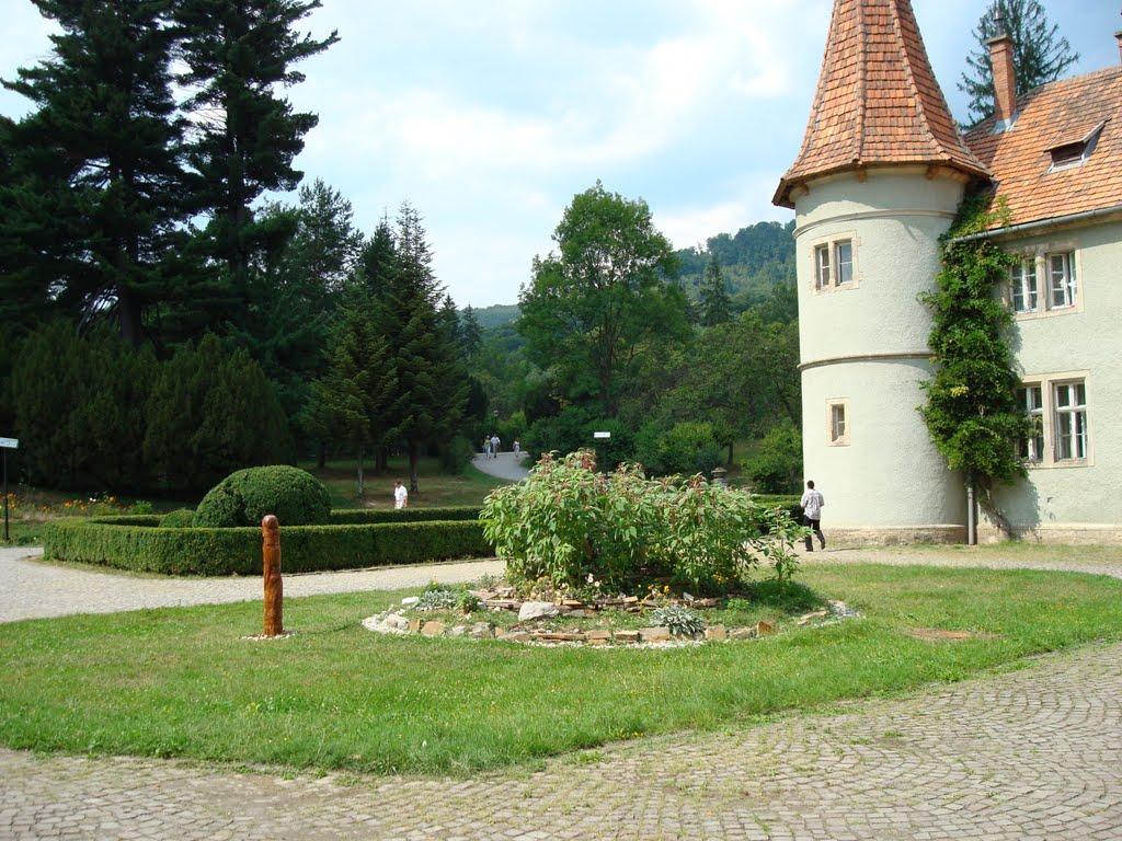 Карпати з panoramio.com - Карпаты