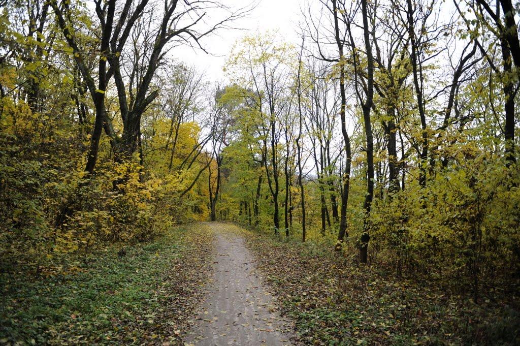 Корсунь-Шевченківський з panoramio.com - Корсунь-Шевченковский