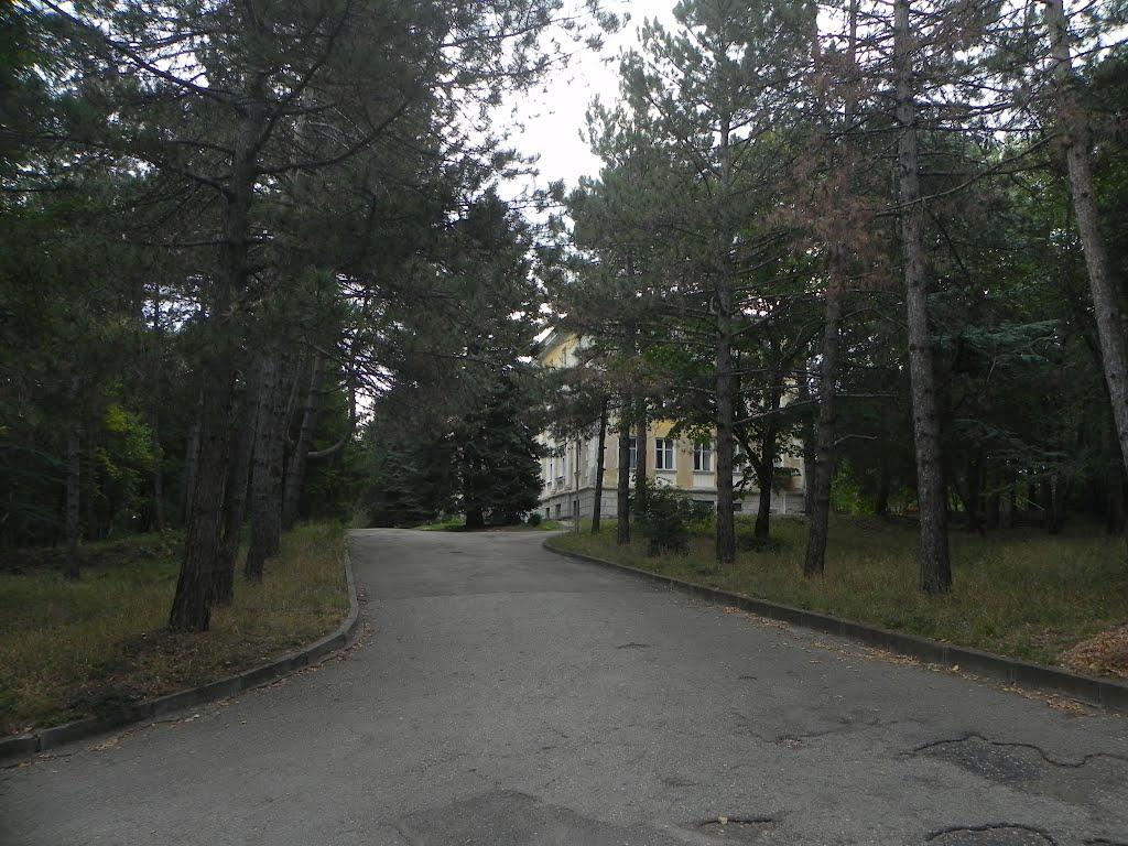 Новий Розділ з panoramio.com - Новый Роздол