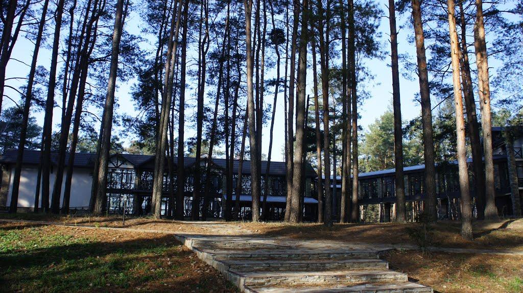 Снов'янка з panoramio.com - Snovyanka