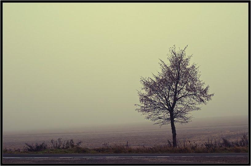 Підволочиськ з panoramio.com - Подволочиск