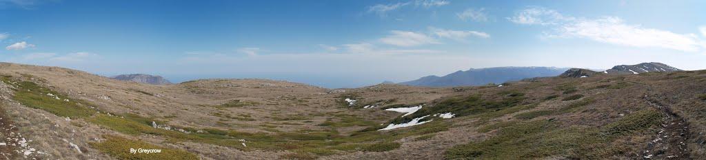 Розовий з panoramio.com (ч.2) - Розовий