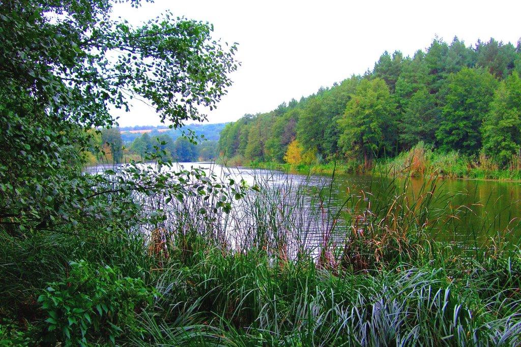 Яблунівка з panoramio.com - Яблунівка