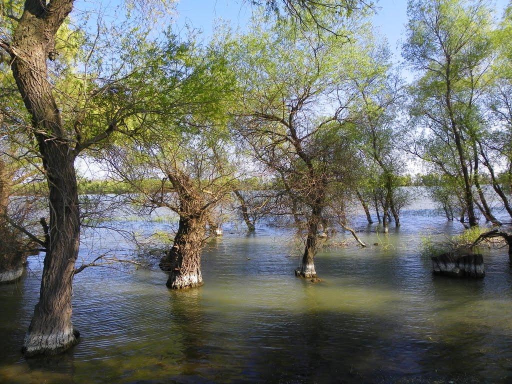 Кілія з panoramio.com (ч.2) - Килия