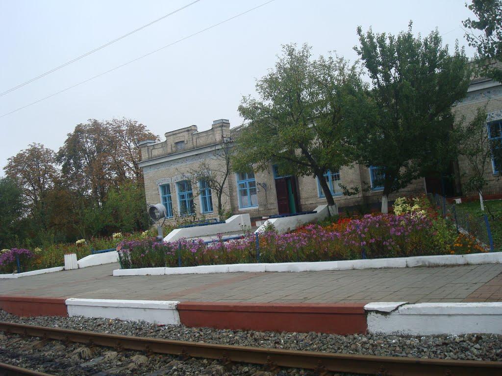 Буйволівці з panoramio.com - Буйволівці