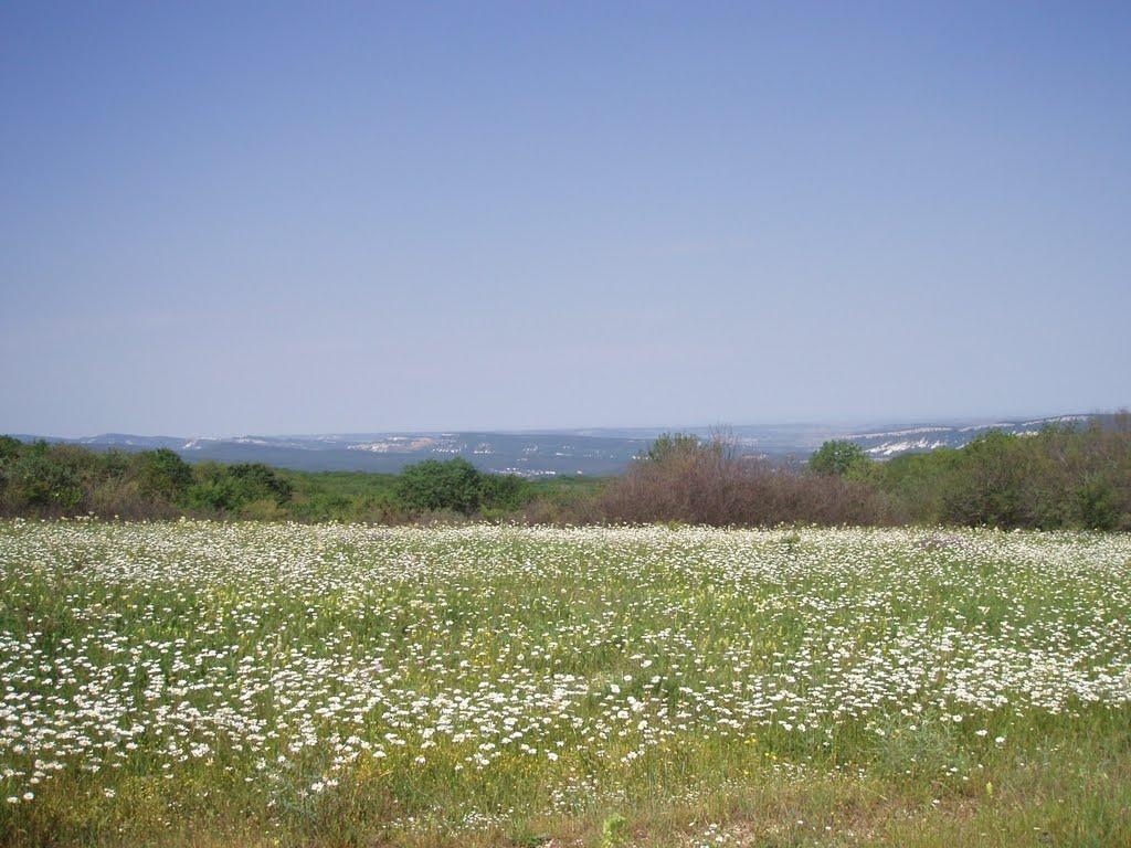 Костянтинівка з panoramio.com - Konstantinovka