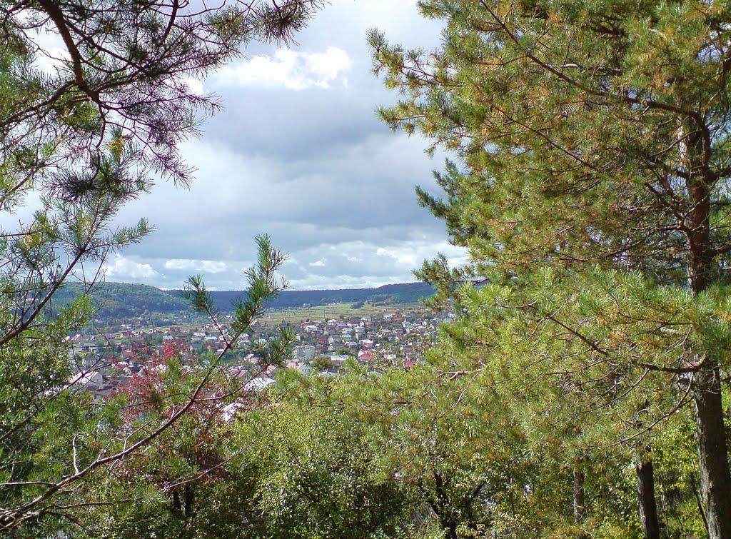 Бережани з panoramio.com - Бережаны