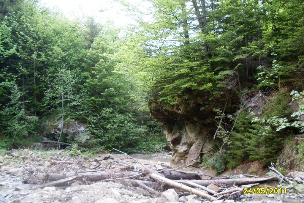 Товарниця з panoramio.com - Товарниця