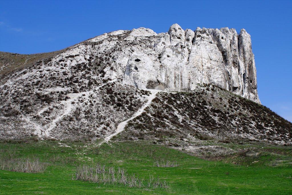 Білокузьминівка з panoramio.com - Білокузьминівка